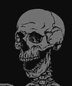 Meet your Posher, Alexandria